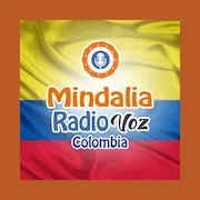 Logo Mindalia Radio Voz COLOMBIA
