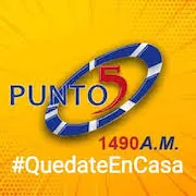 Logo Punto 5