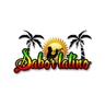 Sabor Latino HD