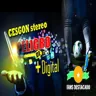 Cesgon Stereo