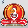 Radio Mister Pollo