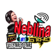 Logo Neblina Stereo